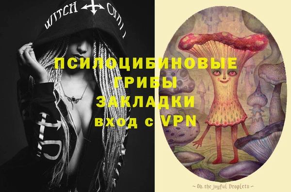 гашик Баксан