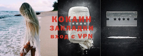 дурь Новодвинск